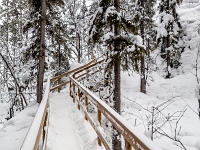 Park Narodowy Oulanka